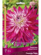 Георгина декоративная Гламур Герл Разбор I, 1 шт.  (артикул 10995907)  большой выбор товаров оптом и в розницу по низким ценам с доставкой