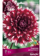 Георгина декоративная Дабл Жё Разбор I, 1 шт.  (артикул 10995911)  большой выбор товаров оптом и в розницу по низким ценам с доставкой