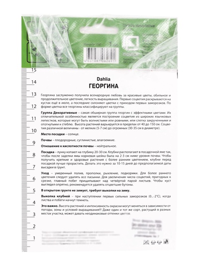 Георгина декоративная «Дуэт», саженец, 1 шт., Весна 2026, «ПОИСК»