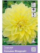 Георгина декоративная Кельвин Фладлайт Разбор I, 1 шт.  (артикул 10995919)  большой выбор товаров оптом и в розницу по низким ценам с доставкой