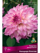 Георгина декоративная Колорадо Классик Разбор I, 1 шт.  (артикул 10995924)  большой выбор товаров оптом и в розницу по низким ценам с доставкой