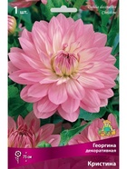 Георгина декоративная Кристина Разбор I, 1 шт.  (артикул 10995927)  большой выбор товаров оптом и в розницу по низким ценам с доставкой