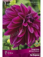 Георгина декоративная Ле Барон Разбор I, 1 шт.  (артикул 10995933)  большой выбор товаров оптом и в розницу по низким ценам с доставкой