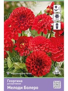 Георгина декоративная Мелоди Болеро Разбор I, 1 шт.  (артикул 10995936)  большой выбор товаров оптом и в розницу по низким ценам с доставкой