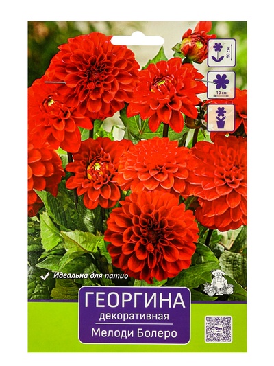 Георгина декоративная «Мелоди Болеро», саженец, 1 шт., Весна 2026, «ПОИСК»