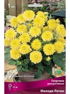 Георгина декоративная Мелоди Латин Разбор I, 1 шт.  (артикул 10995938)  большой выбор товаров оптом и в розницу по низким ценам с доставкой