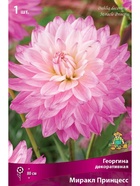 Георгина декоративная Миракл Принцесс Разбор I, 1 шт.  (артикул 10995942)  большой выбор товаров оптом и в розницу по низким ценам с доставкой