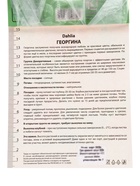 Георгина декоративная «Мюзетт», саженец, 1 шт., Весна 2026, «ПОИСК» - Фото 3