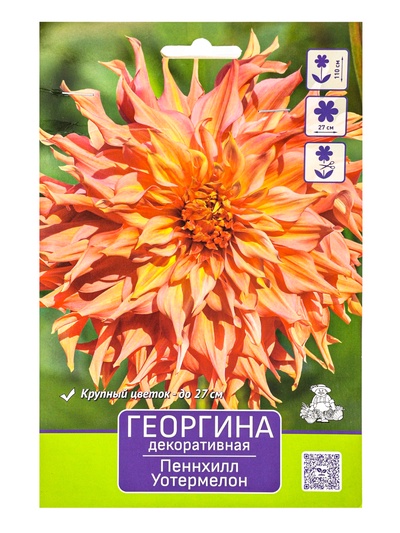 Георгина декоративная «Пеннхилл Уотермелон», саженец, 1 шт., Весна 2026, «ПОИСК»
