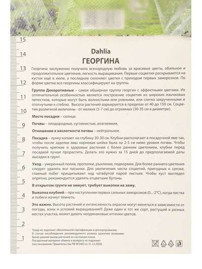 Георгина декоративная «Пеннхилл Уотермелон», саженец, 1 шт., Весна 2026, «ПОИСК»