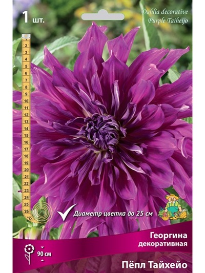 Георгина декоративная «Пёпл Тайхейо», Разбор I, 1 шт.