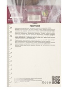 Георгина декоративная «Синиорс Даркнесс», саженец, 1 шт., Весна 2026, «ПОИСК» - Фото 3
