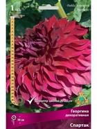 Георгина декоративная Спартак Разбор I, 1 шт.  (артикул 10995962)  большой выбор товаров оптом и в розницу по низким ценам с доставкой