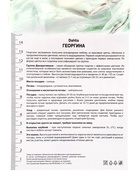 Георгина декоративная «Темпл ов Бьюти», саженец, 1 шт., Весна 2026, «ПОИСК» - Фото 4