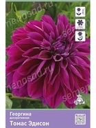 Георгина декоративная Томас Эдисон Разбор I, 1 шт.  (артикул 10995968)  большой выбор товаров оптом и в розницу по низким ценам с доставкой