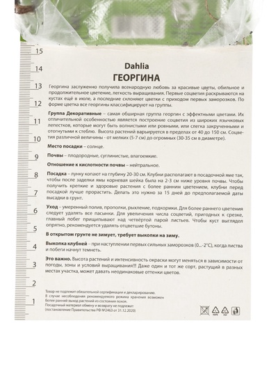 Георгина декоративная «Уайт Перфекшн», саженец, 1 шт., Весна 2026, «ПОИСК»