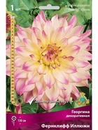 Георгина декоративная Фернклифф Иллюжн Разбор I, 1 шт.  (артикул 10995973)  большой выбор товаров оптом и в розницу по низким ценам с доставкой