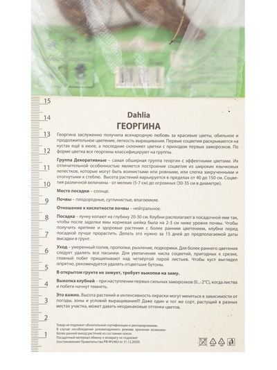 Георгина декоративная «Ху Дан Ит», саженец, 1 шт., Весна 2026, «ПОИСК»