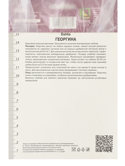 Георгина декоративная «Цынгаро», саженец, 1 шт., Весна 2026, «ПОИСК»