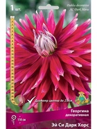 Георгина декоративная Эй Си Дарк Хорс Разбор I, 1 шт.  (артикул 10995981)  большой выбор товаров оптом и в розницу по низким ценам с доставкой