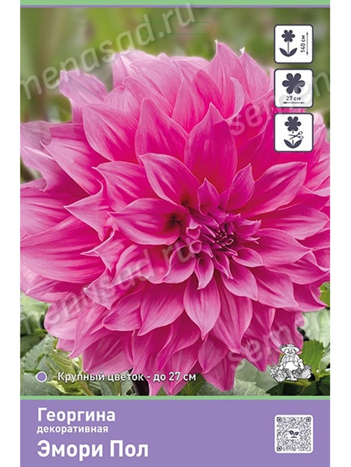 Георгина декоративная Эмори Пол Разбор I, 1 шт.