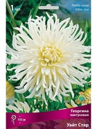 Георгина кактусовая Уайт Стар Разбор I, 1 шт.  (артикул 10995987)  большой выбор товаров оптом и в розницу по низким ценам с доставкой