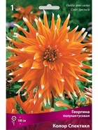 Георгина полукактусовая Колор Спектакл Разбор I, 1 шт.  (артикул 10995995)  большой выбор товаров оптом и в розницу по низким ценам с доставкой