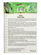 Георгина полукактусовая Май Лав Разбор I, 1 шт., Весна 2026, - Фото 7