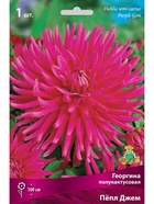 Георгина полукактусовая Пёпл Джем Разбор I, 1 шт.  (артикул 10995998)  большой выбор товаров оптом и в розницу по низким ценам с доставкой