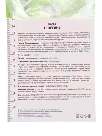Георгина полукактусовая Ред Пигми Разбор I, 1 шт., Весна 2026,