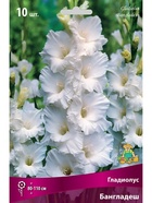 Гладиолус крупноцветковый Бангладеш Разбор 10/12, 10 шт.  (артикул 10996014)  большой выбор товаров оптом и в розницу по низким ценам с доставкой