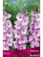 Гладиолус крупноцветковый Блу Фрост Разбор 10/12, 10 шт.  (артикул 10996018)  большой выбор товаров оптом и в розницу по низким ценам с доставкой