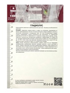 Гладиолус крупноцветковый Блэк Джек Разбор 10/12, 10 шт., Весна 2026, - Фото 4