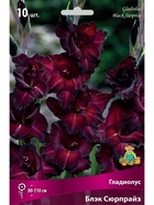 Гладиолус крупноцветковый Блэк Сюрпрайз Разбор 10/12, 10 шт.  (артикул 10996023)  большой выбор товаров оптом и в розницу по низким ценам с доставкой