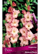 Гладиолус крупноцветковый Дольче Вита Разбор 10/12, 10 шт.  (артикул 10996031)  большой выбор товаров оптом и в розницу по низким ценам с доставкой