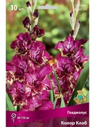 Гладиолус крупноцветковый Колор Клаб Разбор 10/12, 10 шт.  (артикул 10996035)  большой выбор товаров оптом и в розницу по низким ценам с доставкой