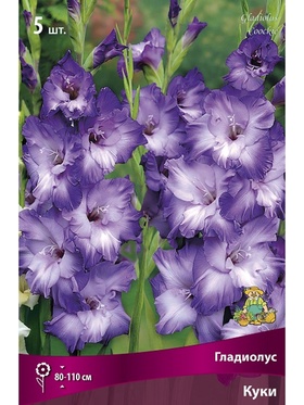 Гладиолус крупноцветковый Куки Разбор 10/12, 5 шт.