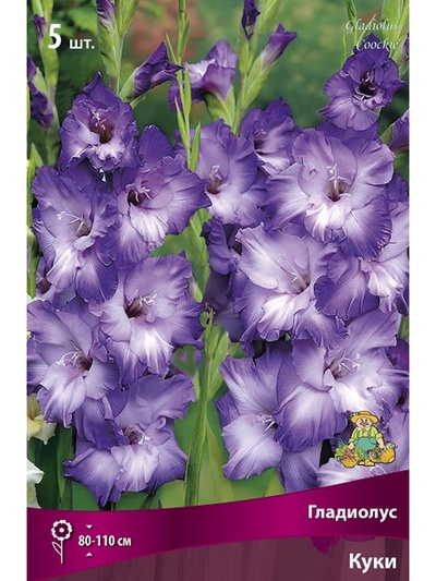 Гладиолус крупноцветковый Куки Разбор 10/12, 5 шт., Весна 2026,
