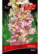 Гладиолус крупноцветковый Прага Разбор 10/12, 5 шт.  (артикул 10996043)  большой выбор товаров оптом и в розницу по низким ценам с доставкой