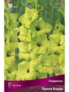 Гладиолус крупноцветковый Прима Верде Разбор 10/12, 10 шт.  (артикул 10996044)  большой выбор товаров оптом и в розницу по низким ценам с доставкой