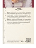 Гладиолус крупноцветковый Роксанна Разбор 10/12, 10 шт., Весна 2026, - Фото 3
