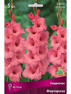Гладиолус крупноцветковый Фортароза Разбор 10/12, 5 шт.  (артикул 10996049)  большой выбор товаров оптом и в розницу по низким ценам с доставкой