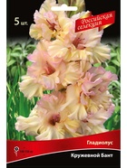 Гладиолус крупноцветковой "Российская селекция" Кружевной Бант Разбор 10/12, 5 шт.  (артикул 10996056)  большой выбор товаров оптом и в розницу по низким ценам с доставкой