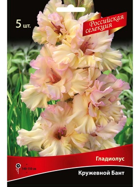 Гладиолус крупноцветковой 