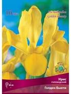 Ирис голландский Голден Бьюти Разбор 6/7, 10 шт.  (артикул 10996074)  большой выбор товаров оптом и в розницу по низким ценам с доставкой