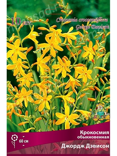 Крокосмия Джордж Дэвисон Разбор 6/7, 10 шт.