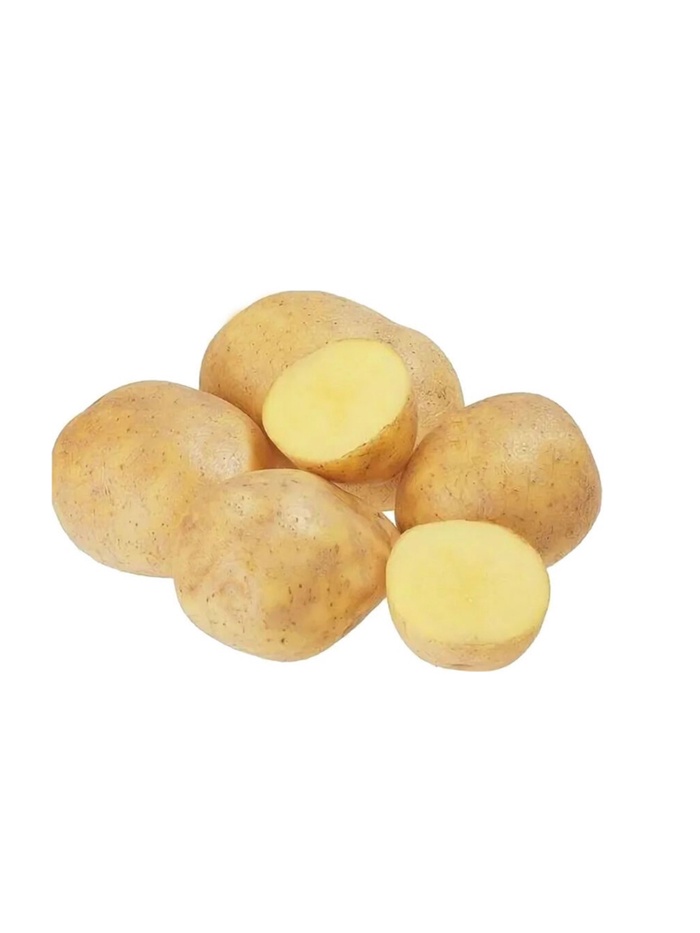 Семенной Картофель «Гала», 2 репродукция 2.5 кг - Фото 1