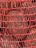Семенной Картофель «Гала», 2 репродукция 2.5 кг - Фото 2