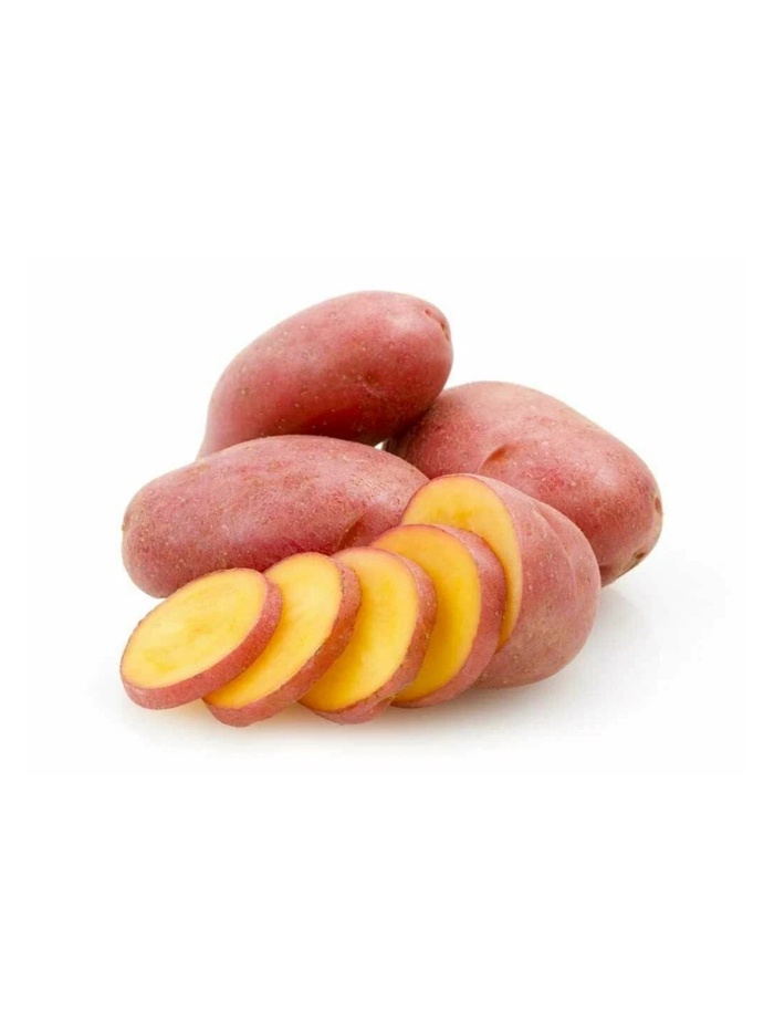 Семенной Картофель «Родрига», 2 репродукция 2.5 кг