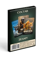 Настольная игра «Настоящая итальянская мафия Brainrot», 20 карт, 16+ - Фото 2